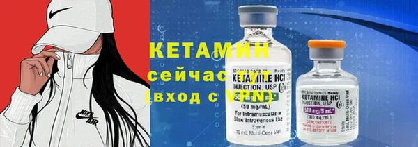 трава Аркадак