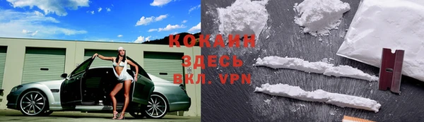 трава Аркадак