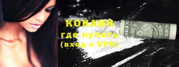 индика Арсеньев