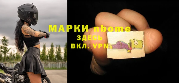 индика Арсеньев