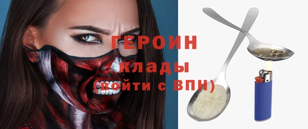 индика Арсеньев