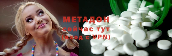 индика Арсеньев