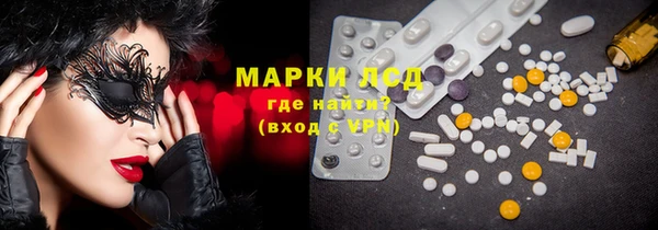 индика Арсеньев